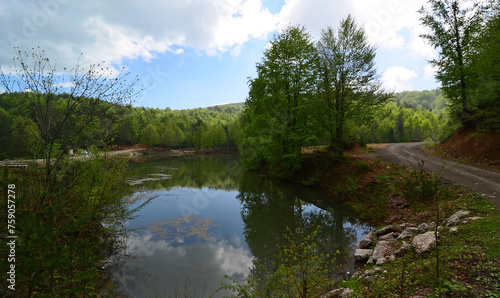 Camlipinar Lake in Duzce, Turkey.