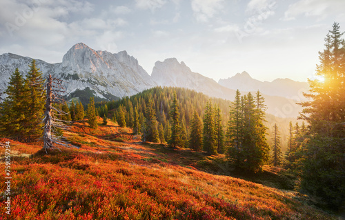 Blick vom Lahngangkogel, Kalbling, Sparafeld, Reichenstein, Ennstaler Alpen, Steiermark, Österreich photo