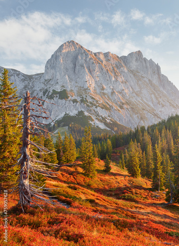 Blick vom Lahngangkogel, Kalbling, Sparafeld, Reichenstein, Ennstaler Alpen, Steiermark, Österreich photo