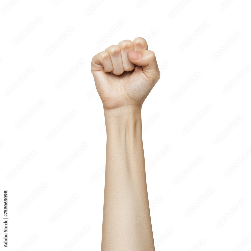 Raised Fist on Transparent Background Raised Fist on Transparent Background