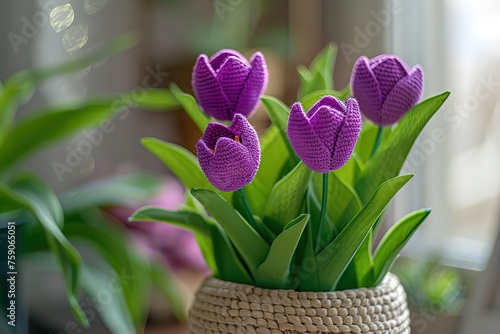 Tulips in the garden, purple tulip flowers on green leaves, blurred background, macro photography focusing on detail, depth of field creating a blurry  photo