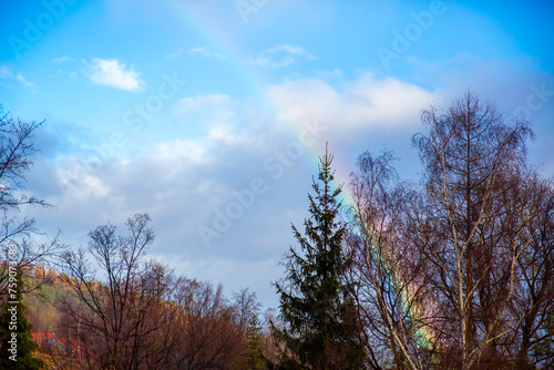 A rainbow in the sky over the forest. Beautiful nature background.