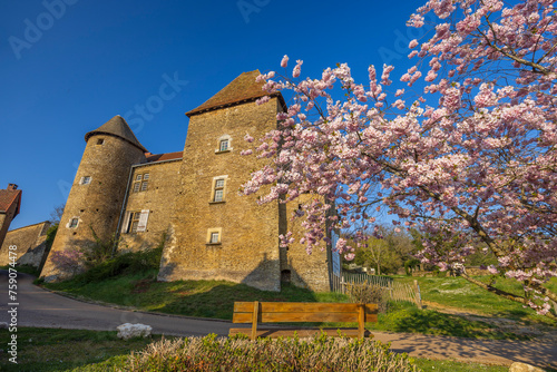 Chateau de Bissy-sur-Fley too Chateau de Pontus de Tyard, Bissy-sur-Fley, Burgundy, France