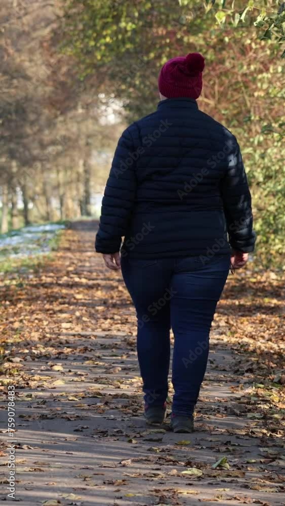 woman walks through an autumn forest in Sauerland. woman walks through an autumn forest in Sauerland.