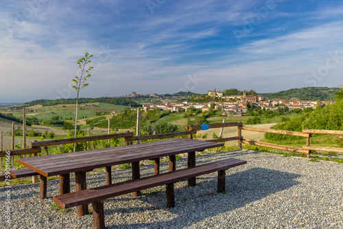 Typical vineyard near Castello di Razzano and Alfiano Natta, Barolo wine region, province of Cuneo, region of Piedmont, Italy photo