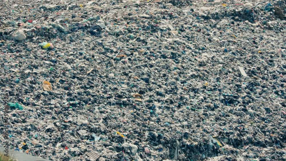 Close-up of garbage at a waste disposal site in summer Close-up of garbage at a waste disposal site in summer