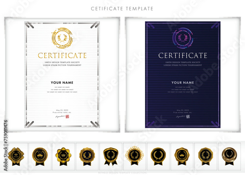 Luxury modern frames and shapes, templates for certificates of recognition, certificates of appreciation, and diplomas. Accommodates award, diploma, business and educational needs. type195(portrait)	