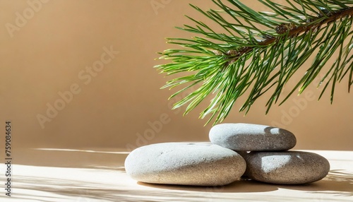 abstract minimal nature scene empty stage and composition of stones on beige background and soft shadows of pine tree pedestal for cosmetic product and packaging mockups display presentation