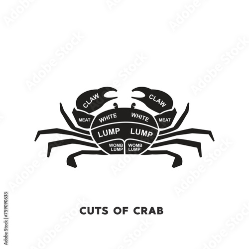 vector illustration guide Meat cuts set. crab Butcher Poster diagrams and schematics.