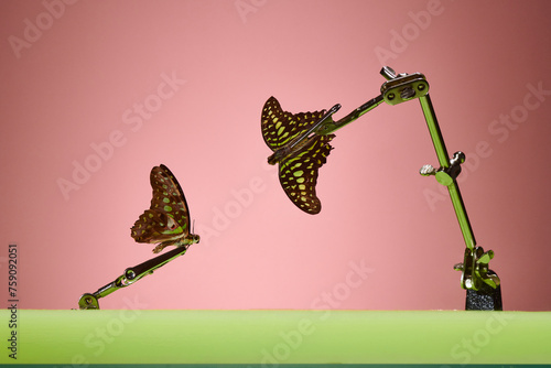 Metal clip holds butterfly over green surface photo