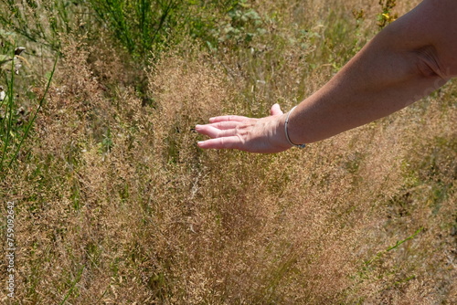 FU 2022-07-23 WanderAuge 58 Jemand streicht mit der Hand über trockenes Gras