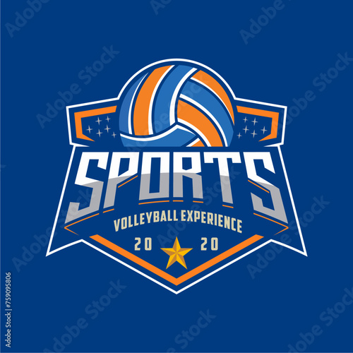 Vintage Volleyball logo, volley club logo, ball logo icon vector