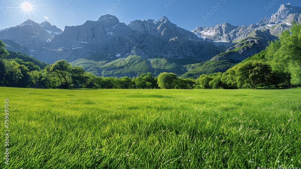 Grassy Field With Mountains in the Background