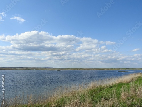 The scenic beauty of the Edwin B. Forsythe National Wildlife Refuge during the spring season. photo
