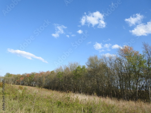 The colorful scenery of the woodland trees during the spring season. Edwin B. Forsythe National Wildlife Refuge, Galloway, New Jersey. photo