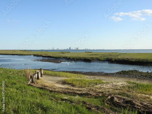 The natural beauty of the wetlands within the Edwin B. Forsythe National Wildlife Refuge with Atlantic City in the distant background.     photo