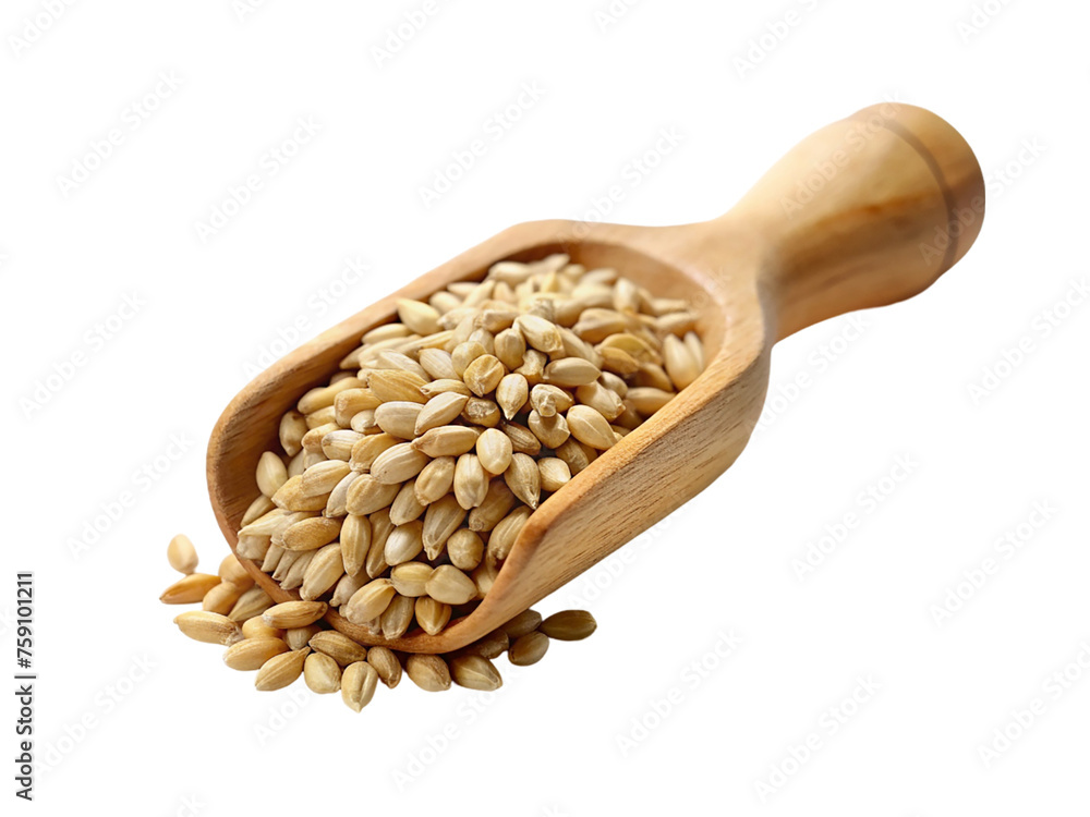 Wheat grains in a wooden scoop. Isolated on transparent background. Wheat grains in a wooden scoop. Isolated on transparent background.
