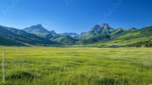 Grassy Field With Mountains in the Background