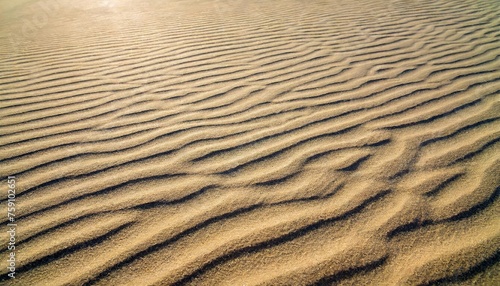 sand desert detail background