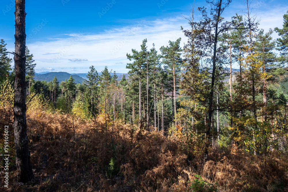 Autumn of sanctuary Belintash at Rhodope Mountains, Bulgaria