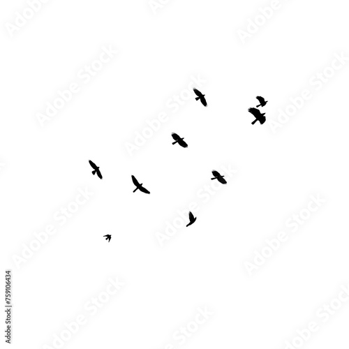 Flock of birds flying © PNG River Gfx