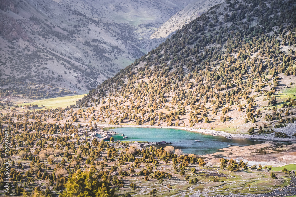 Turquoise-colored lake in a valley against the backdrop of mountain ranges with vegetation and trees in the Fan Mountains in Tajikistan