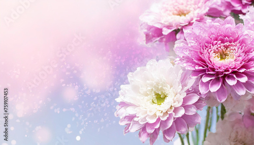 Stunning flowers against a pastel backdrop with space for text. Perfect for banners, invitations, and elegant designs. Mothers day, 8 march © Malgorzata