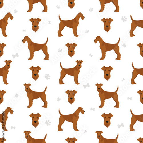 Irish terrier seamless pattern. Different poses, coat colors set
