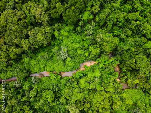 Aerial top down of forest and river in Parque Mae Bonafacia park in Cuiaba Mato Grosso