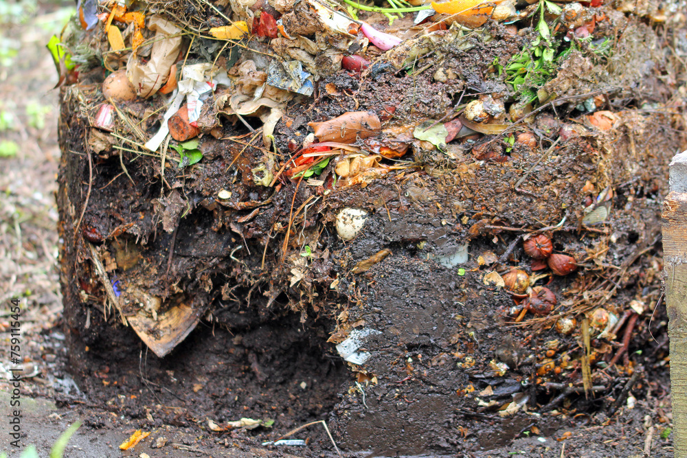 Life in compost. Earthworkers in action. Life in compost. Earthworkers in action.