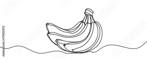 banana branch drawing, continuous line. vector illustration. Banana in one line.
