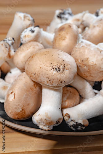 Organic Brown champignons mushrooms from underground caves in Kanne, Belgium, close up