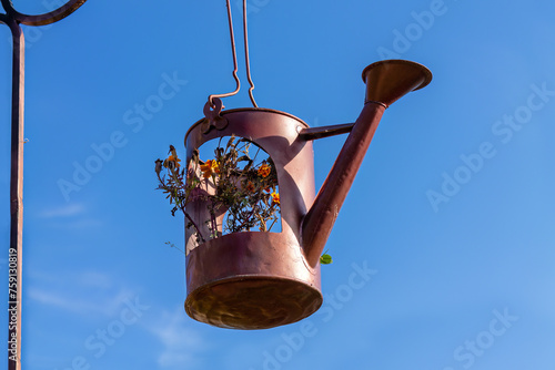 Obraz na plátně Flower pot