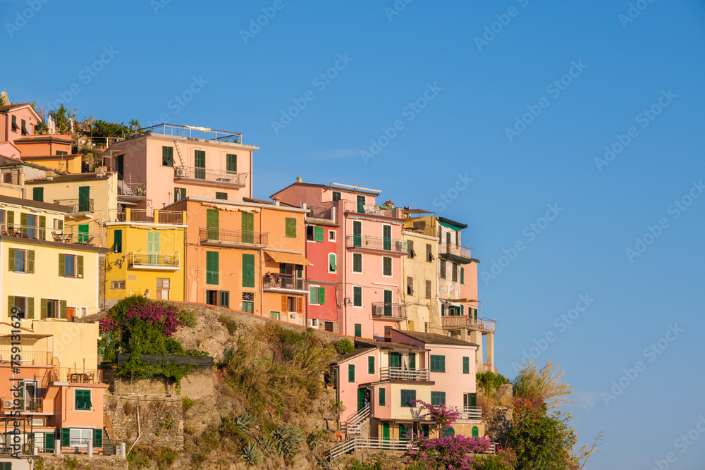 Colorful houses in Manarola village at sunset
