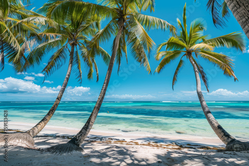 Tropical Paradise: White Sands and Palm Trees by the Ocean