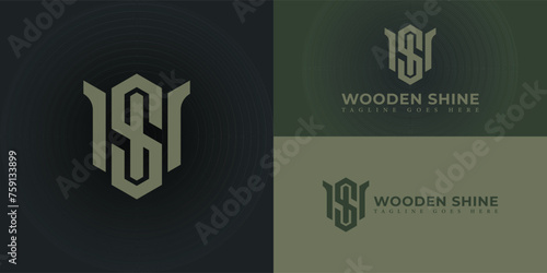 Initial letter WS or SW Logo Design with hexagon concept Vector Illustration Template in green color isolated on multiple background colors applied for the engineering company logo design inspiration