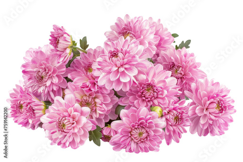 Pink Chrysanthemum Bouquet