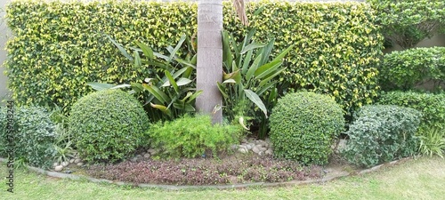 Beautiful Garden