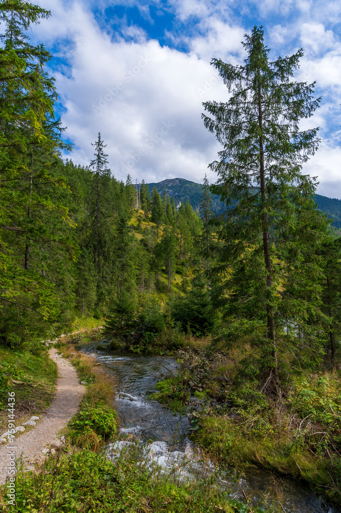Dolina Chochołowska Tatry Dolina Chochołowska Tatry