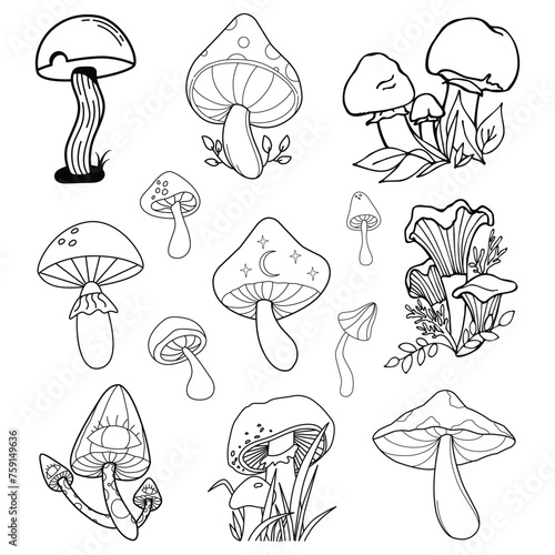 Set of mushrooms hand drawn illustration