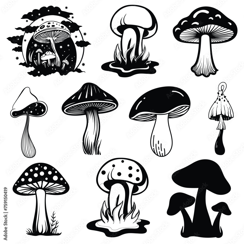 Set of mushrooms vector sketch illustration
Set of mushrooms vector sketch illustration