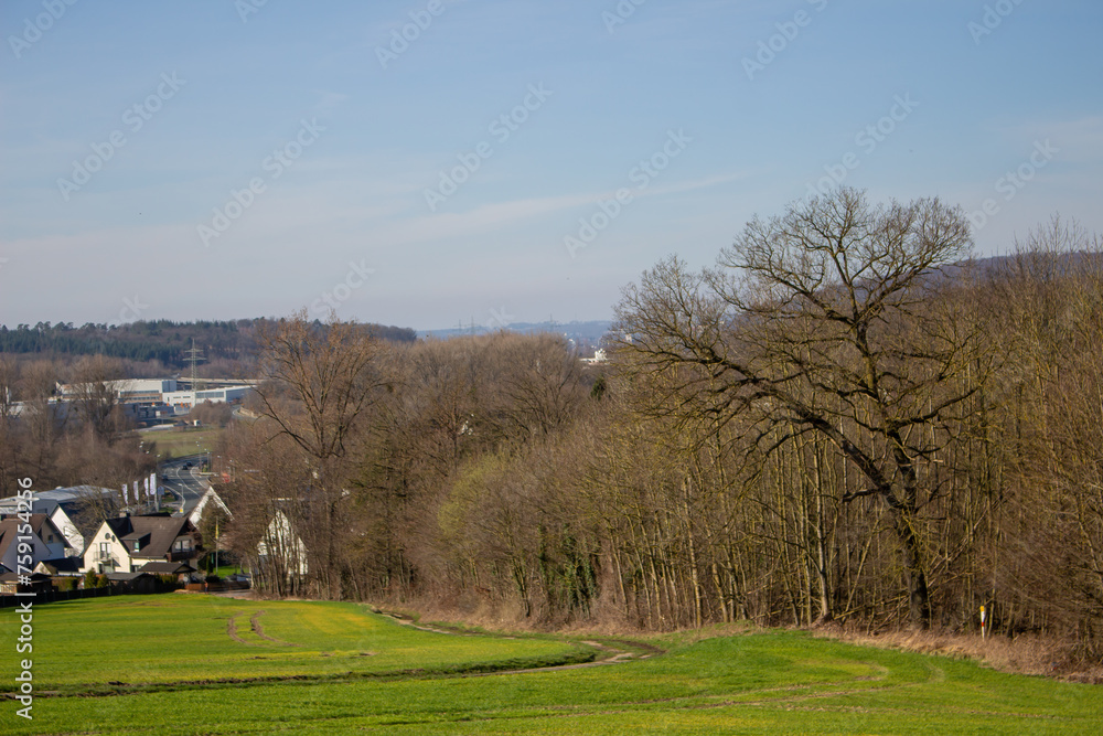 Landscape view of green grass field with blue skybackground. Landscape view of green grass field with blue skybackground.