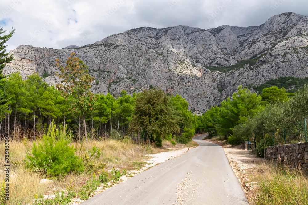 Road along idyllic conifer pine forest with scenic view of mountain ridges in Biokovo nature park, Makarska, Split-Dalmatia, Croatia, Europe. Rock formation in Dinaric Alps in Balkans, Adriatic coast Road along idyllic conifer pine forest with scenic view of mountain ridges in Biokovo nature park, Makarska, Split-Dalmatia, Croatia, Europe. Rock formation in Dinaric Alps in Balkans, Adriatic coast