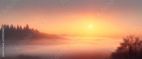 Summer background with fog in a meadow during sunrise
