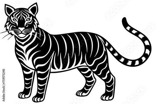tiger vector illustration © Shiju Graphics