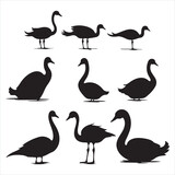 A black silhouette Swan bird set
