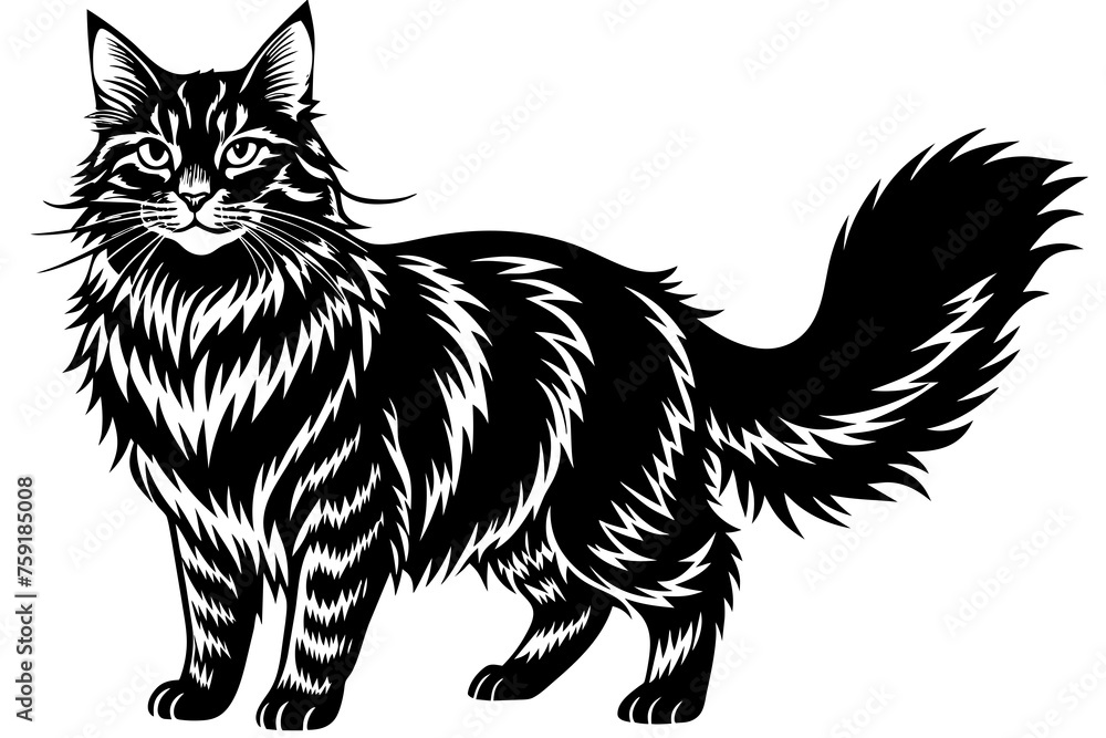 maine coon vector illustration