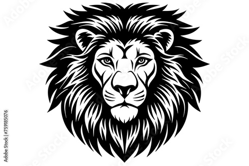 lion vector illustration