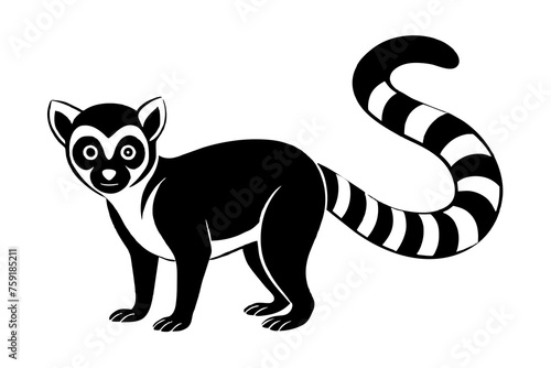 lemur vector illustration