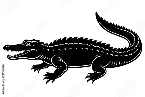 crocodile vector illustration